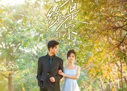 短剧《苦尽甘来缘是你（45集）》短剧全集免费在线赏