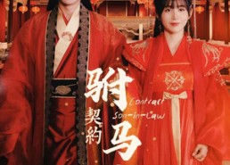 短剧《契约驸马爷（74集）》经典短剧全集免费在线览