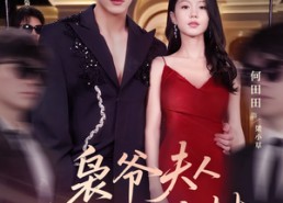 短剧《枭爷夫人她来自农村（73集）》爆款短剧免费全集畅看