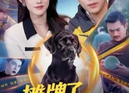 短剧《摊牌了，我的狗是哮天犬（98集）》热门短剧免费全集观赏