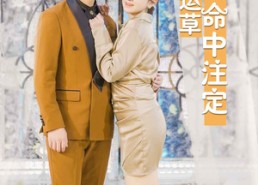 短剧《闪婚幸运草的命中注定（82集）》短剧全集流畅在线播