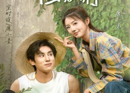 短剧《捡了个总裁回农村（32集）》优质短剧免费全集在线赏