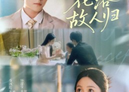 短剧《花落故人归（66集）》短剧在线畅享完整版