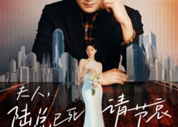 短剧《夫人，陆总已死请节哀（95集）》短剧免费高清全集看