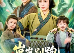 短剧《崽崽别跑，娘亲有亿点医术（81集）》热门短剧免费全集享