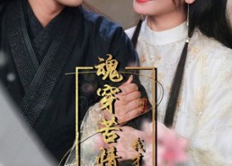 短剧《魂穿苦情女主，我才不当恋爱脑（100集）》爆款短剧全集速览