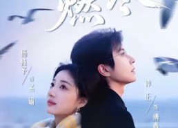 短剧《婚夜，燃尽（85集）》短剧超清全集免费畅看