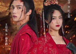 短剧《替嫁医妃嘎嘎乱杀（60集）》短剧超燃剧情免费看