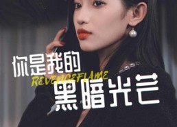 短剧《你是我的黑暗光芒（81集）》短剧免费全集无卡顿