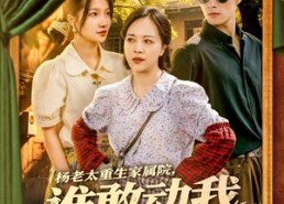 短剧《杨老太重生家属院，谁敢动我儿媳妇（85集）》短剧全剧免费在线赏