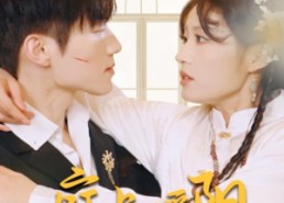 短剧《庭上暖阳（61集）》短剧完整版免费在线赏