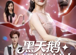 短剧《黑天鹅诱捕计划（81集）》免费短剧全集高清在线
