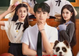 短剧《骑驴上学2御剑飞行赶早八（66集）》趣味短剧在线完整观看