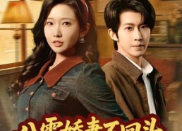 短剧《八零娇妻不回头，前夫哭红眼（65集）》短剧全集免费畅享观看