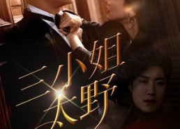 短剧《三小姐太野（61集）》短剧无删减在线观看