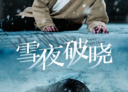 短剧《雪夜破晓（36集）》短剧全集免费高清看