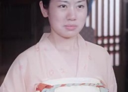 短剧《藏娇（30集）》免费短剧畅享全集