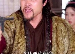 短剧《皇子和亲玄武门再见（65集）》短剧免费全集畅快览