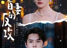 短剧《盲妻的反攻（88集）》精彩短剧在线免费看