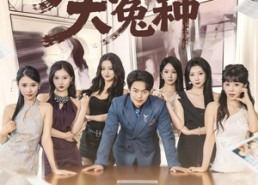 短剧《我真不是大冤种（85集）》热门短剧在线高清看