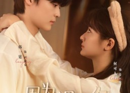 短剧《因为遇见你（79集）》短剧免费全集高清畅享