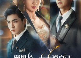 短剧《顾机长，太太说自己已守寡三年（80集）》热门短剧全集免费看