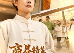 短剧《商界精英解甲归田（31集）》短剧免费在线全集