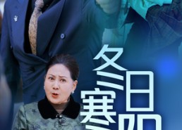 短剧《冬日寒阳（29集）》免费短剧全集高清来袭
