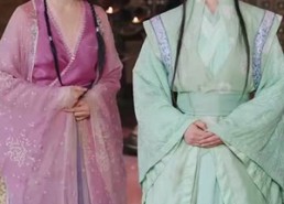 短剧《前世桃花今生恨（100集）》高分短剧在线完整观看