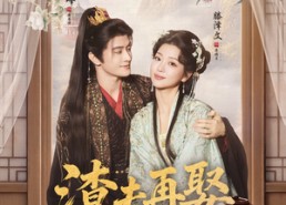 短剧《渣夫再娶，医妃风华定乾坤（80集）》短剧全集免费高清在线看