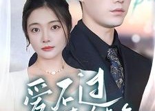 短剧《爱不过徒有虚名（80集）》短剧完整版免费速看