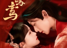 短剧《错鸣鸾（75集）》短剧精彩剧情在线速览