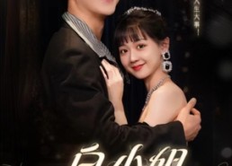 短剧《今日意悔婚（67集）》短剧全集免费在线览