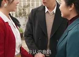 短剧《美人在八零（99集）》精彩短剧免费畅享观看