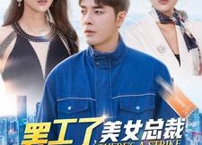 短剧《罢工了，美女总裁跪求我上班（102集）》免费短剧全集轻松看