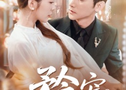 短剧《矜宠（68集）》短剧免费全集畅快追看