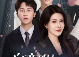 短剧《自恋风暴乌龙事（60集）》优质短剧在线流畅播放