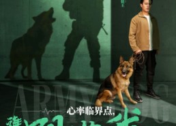 短剧《心率临界点谁都别惹我（96集）》免费短剧全集流畅播放