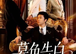 短剧《暮色告白（80集）》短剧全集无广告畅播