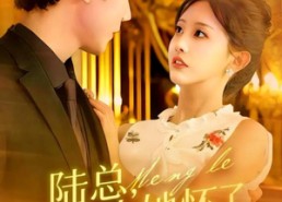 短剧《陆总，夫人她怀了您的崽（89集）》短剧高清全集在线畅享