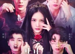 短剧《先生请多指教（67集）》短剧全集免费高清享