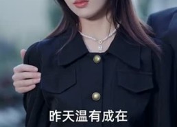 短剧《妻子归来的秘密（91集）》优质短剧全集免费点播