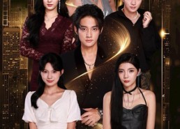 短剧《这届女主都疯了（80集）》热门短剧免费全集速看