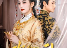 短剧《攻心计（100集）》热门短剧免费全集追更