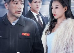 短剧《模范司机（30集）》免费短剧全集任你观