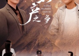 短剧《家产之争（80集）》热门短剧全集免费赏