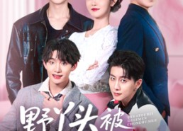 短剧《野丫头被哥哥们宠坏了（80集）》热门短剧在线免费看