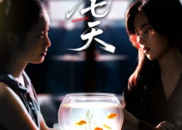 短剧《第七天（48集）》短剧高清全集免费畅享