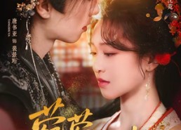 短剧《菀菀错逢春（62集）》热门短剧全集免费享