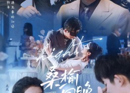 短剧《桑榆向晚（65集）》免费短剧全集一键观看